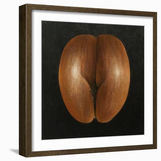 Coco De Mer, 2010-Lincoln Seligman-Framed Giclee Print