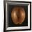 Coco De Mer, 2010-Lincoln Seligman-Framed Giclee Print