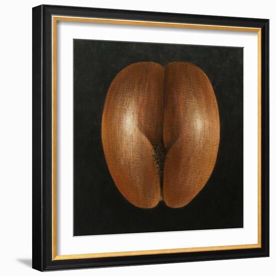 Coco De Mer, 2010-Lincoln Seligman-Framed Giclee Print