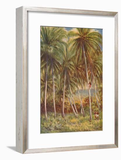 'Coco-nut Palms', 1924-Unknown-Framed Giclee Print