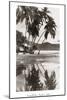 Coco Palms, Acapulco, 1932-null-Mounted Art Print