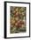 'Cocoa, 1. - Cacao Tree, Trinidad', 1928-Unknown-Framed Giclee Print