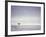 Cocoa Beach Surfer, Florida, USA-Stuart Westmoreland-Framed Premium Photographic Print