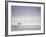 Cocoa Beach Surfer, Florida, USA-Stuart Westmoreland-Framed Photographic Print