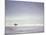 Cocoa Beach Surfer, Florida, USA-Stuart Westmoreland-Mounted Photographic Print