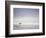 Cocoa Beach Surfer, Florida, USA-Stuart Westmoreland-Framed Photographic Print