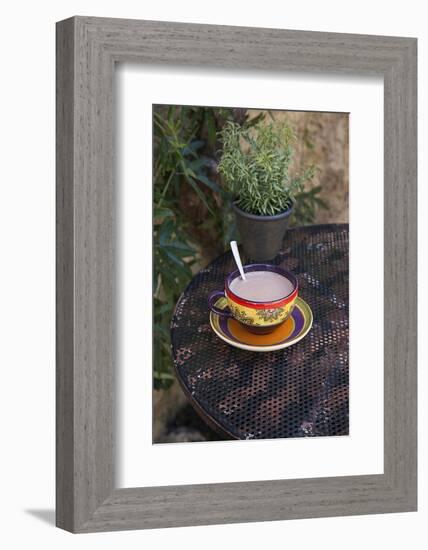 Cocoa in Coloured Cup-Andrea Haase-Framed Photographic Print