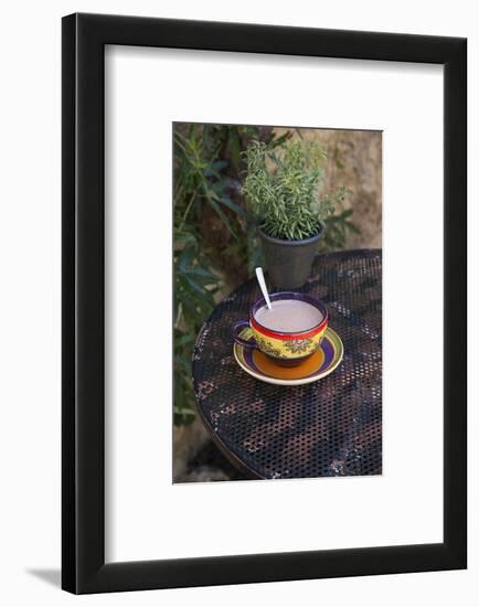 Cocoa in Coloured Cup-Andrea Haase-Framed Photographic Print