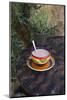 Cocoa in Coloured Cup-Andrea Haase-Mounted Photographic Print