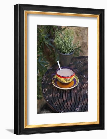 Cocoa in Coloured Cup-Andrea Haase-Framed Photographic Print