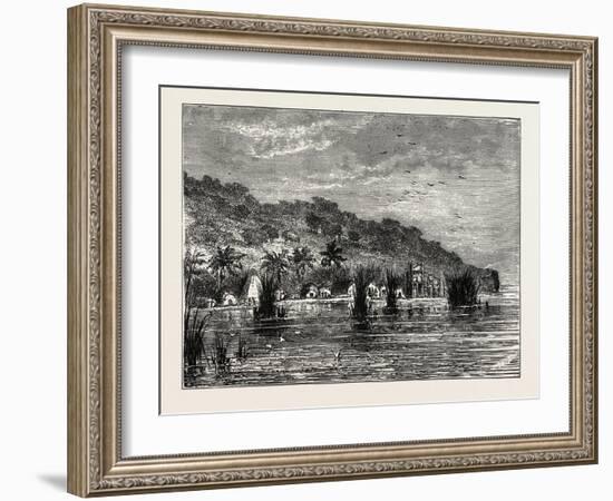 Cocoa-Nut Plantation in Ceylon, Sri Lanka-null-Framed Giclee Print