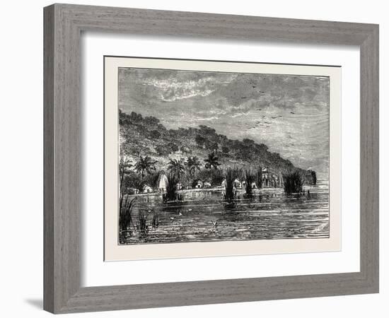 Cocoa-Nut Plantation in Ceylon, Sri Lanka-null-Framed Giclee Print