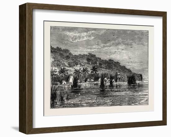 Cocoa-Nut Plantation in Ceylon, Sri Lanka-null-Framed Giclee Print