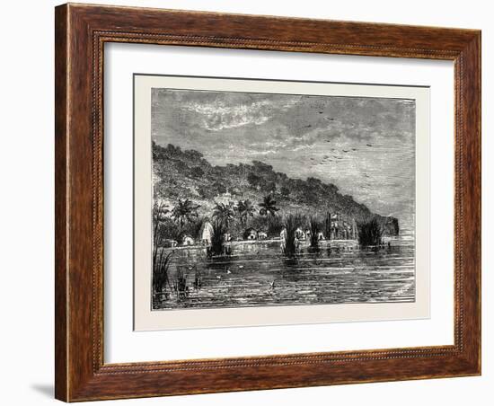 Cocoa-Nut Plantation in Ceylon, Sri Lanka-null-Framed Giclee Print