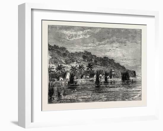 Cocoa-Nut Plantation in Ceylon, Sri Lanka-null-Framed Giclee Print