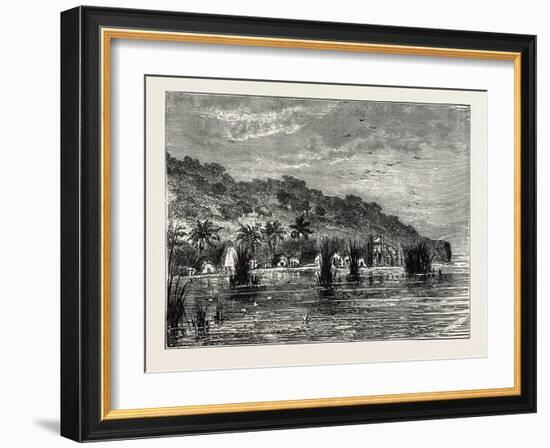 Cocoa-Nut Plantation in Ceylon, Sri Lanka-null-Framed Giclee Print