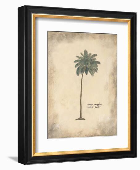 Cocoa Palm-Annabel Hewitt-Framed Art Print