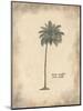 Cocoa Palm-Annabel Hewitt-Mounted Art Print