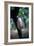 Cocoa Plantation, South Guatemala-null-Framed Photographic Print