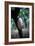 Cocoa Plantation, South Guatemala-null-Framed Photographic Print