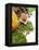 Cocoa Pod With Cocoa Beans, Powder, And Chocolates-vd808bs-Framed Premier Image Canvas