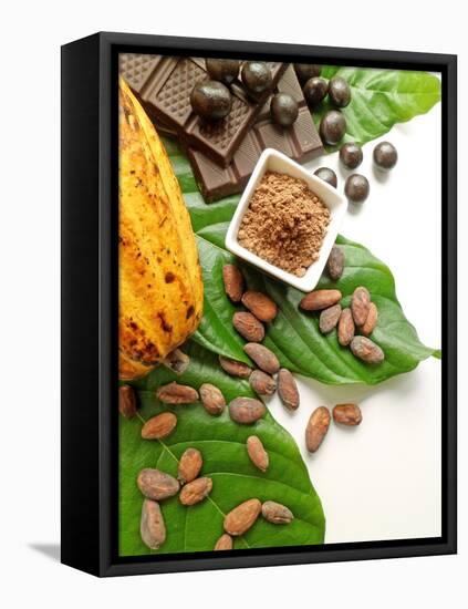 Cocoa Pod With Cocoa Beans, Powder, And Chocolates-vd808bs-Framed Premier Image Canvas