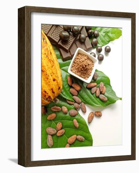 Cocoa Pod With Cocoa Beans, Powder, And Chocolates-vd808bs-Framed Photographic Print