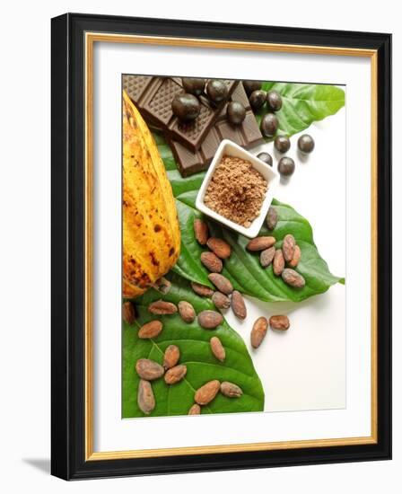 Cocoa Pod With Cocoa Beans, Powder, And Chocolates-vd808bs-Framed Photographic Print