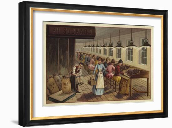 Cocoa Processing Plant-null-Framed Giclee Print