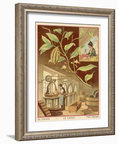 Cocoa-null-Framed Giclee Print