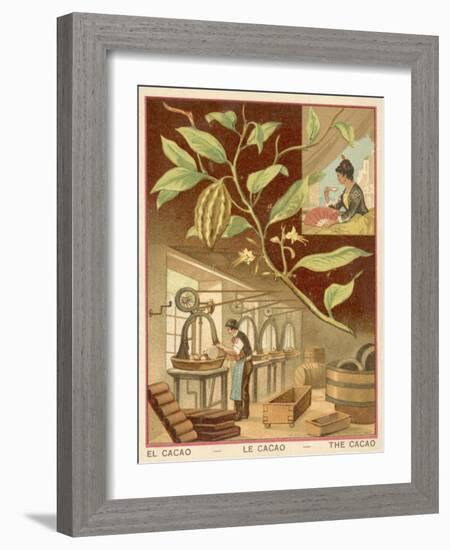 Cocoa-null-Framed Giclee Print