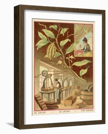 Cocoa-null-Framed Giclee Print