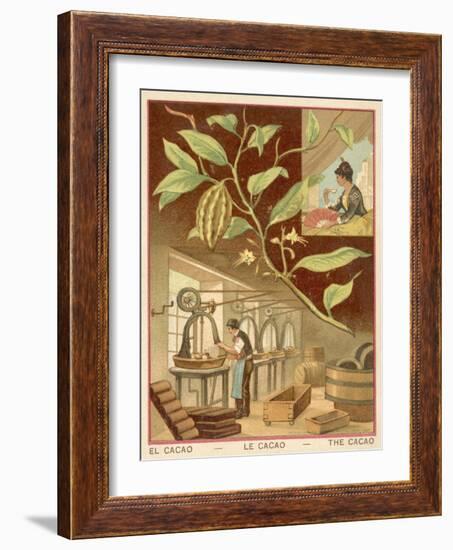 Cocoa-null-Framed Giclee Print