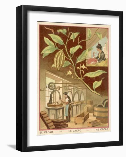 Cocoa-null-Framed Giclee Print