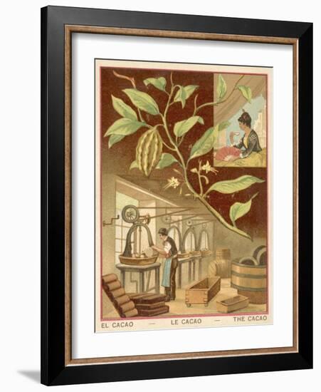 Cocoa-null-Framed Giclee Print