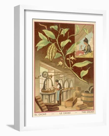 Cocoa-null-Framed Giclee Print