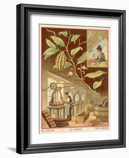 Cocoa-null-Framed Giclee Print