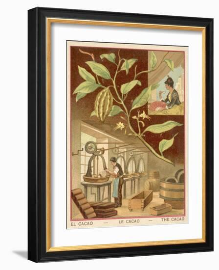 Cocoa-null-Framed Giclee Print