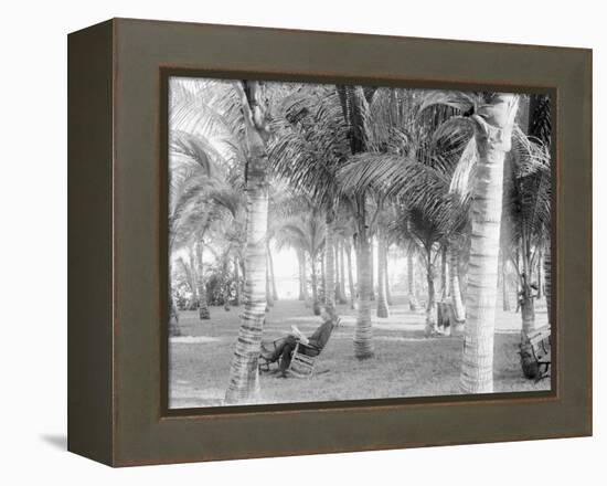 Cocoanut Grove at Mccormicks, Lake Worth, Fla.-null-Framed Stretched Canvas