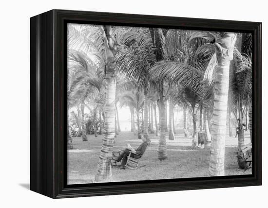 Cocoanut Grove at Mccormicks, Lake Worth, Fla.-null-Framed Stretched Canvas