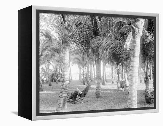 Cocoanut Grove at Mccormicks, Lake Worth, Fla.-null-Framed Stretched Canvas