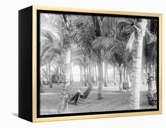 Cocoanut Grove at Mccormicks, Lake Worth, Fla.-null-Framed Stretched Canvas