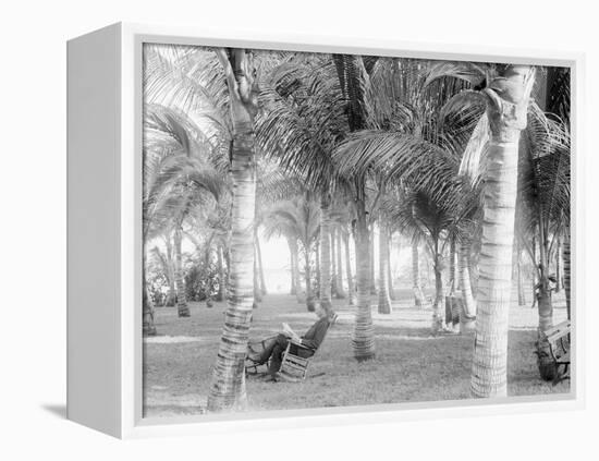 Cocoanut Grove at Mccormicks, Lake Worth, Fla.-null-Framed Stretched Canvas