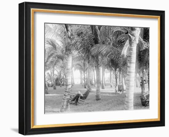 Cocoanut Grove at Mccormicks, Lake Worth, Fla.-null-Framed Photo