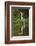 Cocoi Heron-Joe McDonald-Framed Photographic Print