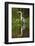 Cocoi Heron-Joe McDonald-Framed Photographic Print