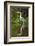 Cocoi Heron-Joe McDonald-Framed Photographic Print