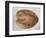 Coconut 1-Lincoln Seligman-Framed Giclee Print