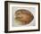 Coconut 1-Lincoln Seligman-Framed Giclee Print