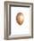 Coconut, 2015-Lincoln Seligman-Framed Giclee Print
